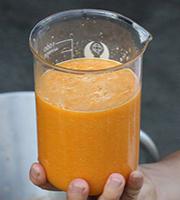 Carrot Juice