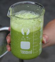 Cucumber Juice