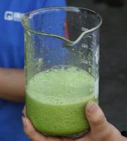 Celery Juice