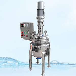 Stirred Tank Reactor for Enzymatic Hydrolysis