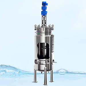 Industrial Fermentation Vessel