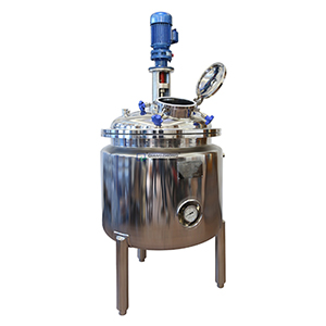 Continuous Stirred Tank Reactor