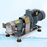 Rotary Lobe Pump